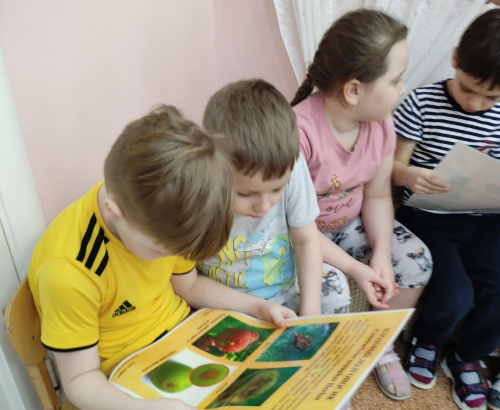 Сотрудник Вологодского отдела рассказала воспитанникам детского сада о профессии агронома