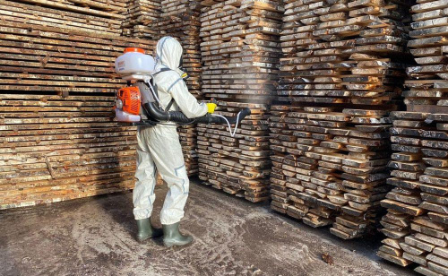 Сотрудники отдела инспекции провели обеззараживание 3000 кубометров лесопродукции