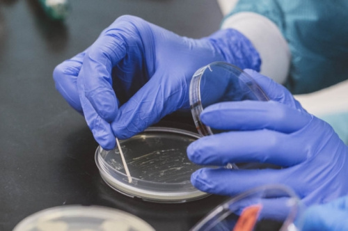 Порядка 900 микробиологических исследований проведено лабораторией в первой половине текущего месяца