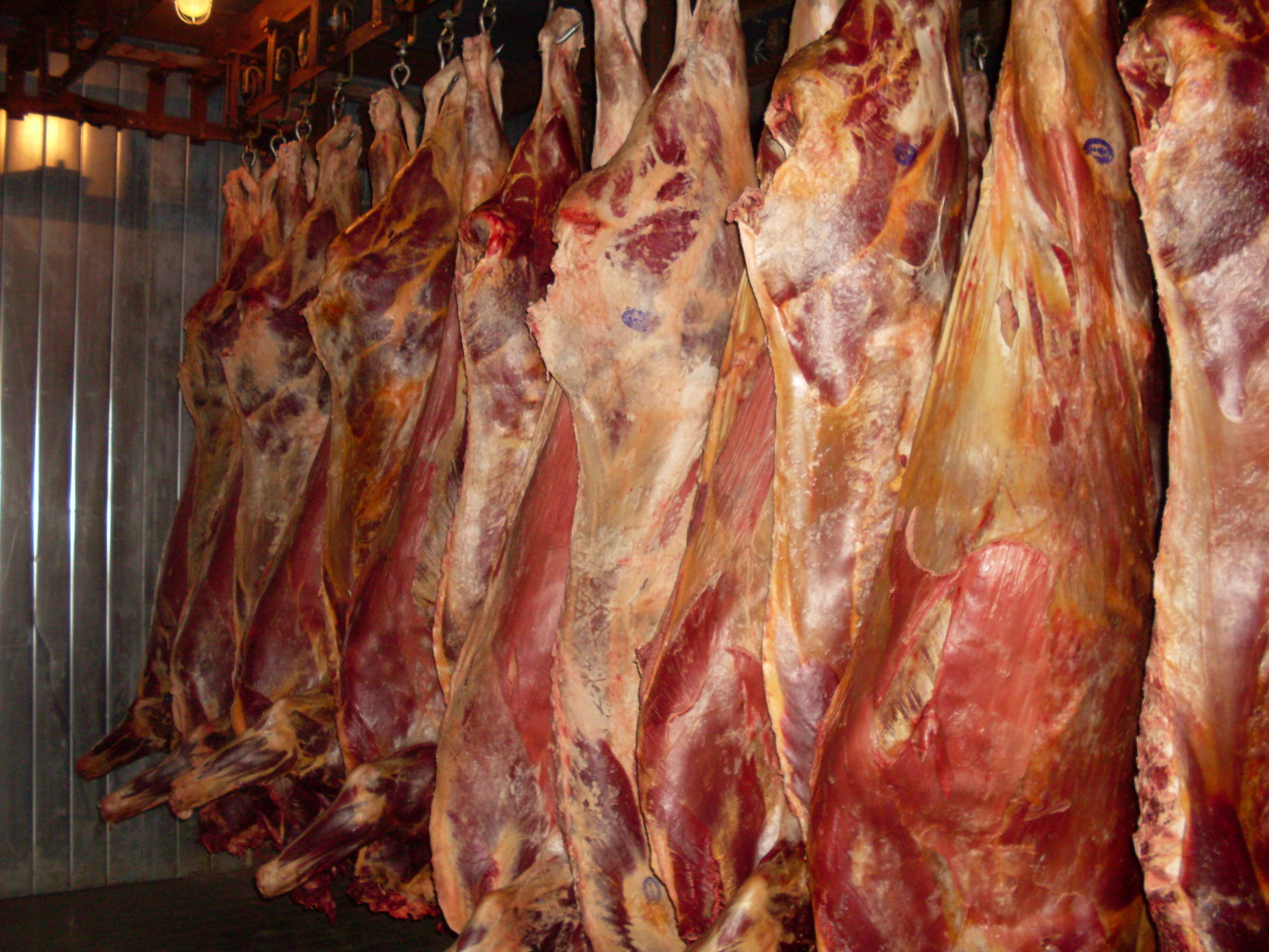 Опасное мясо из Вологодской области