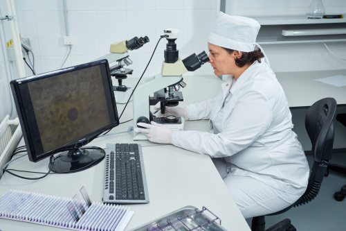 В прошедшем месяце лабораторией проведено порядка 1500 паразитологических и санитарно-паразитологических исследований