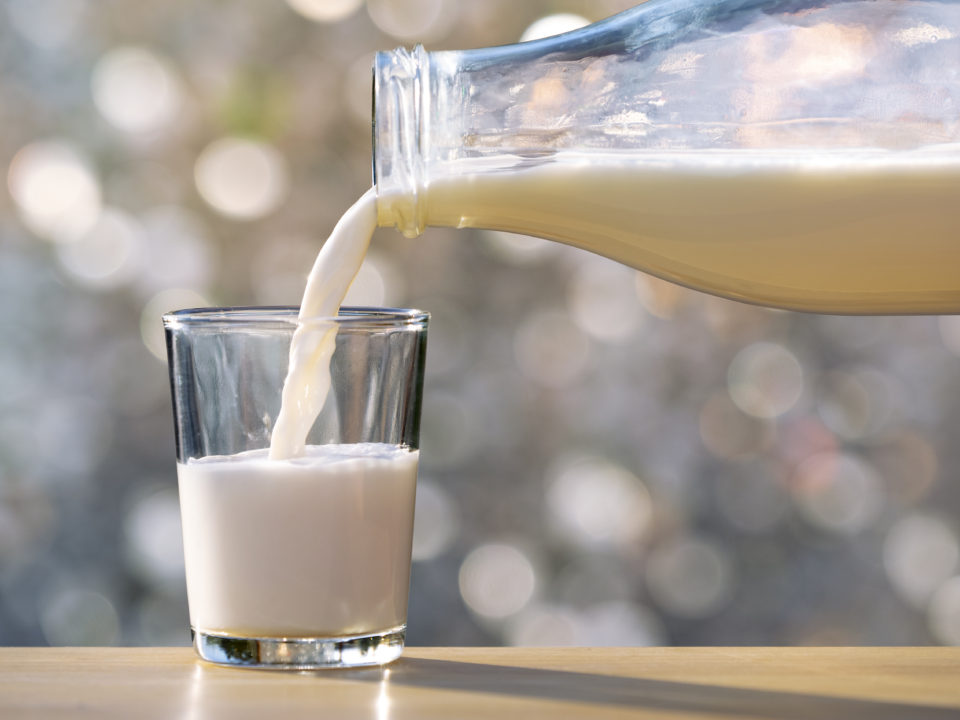 Лабораторией снова установлена фальсификация состава молочных продуктов