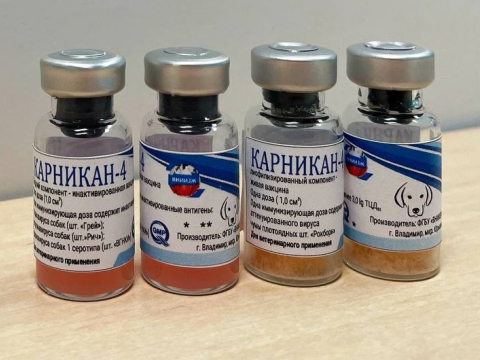 Зарегистрирована новая вакцина ФГБУ «ВНИИЗЖ» для собак «Карникан-4»