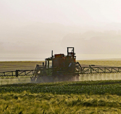 Обзор: Сокращение использования пестицидов и агрохимикатов актуально во всем мире