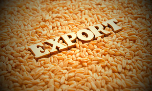Специалистами Вологодского отдела проверены партии отправляемых на экспорт продуктов переработки зерна