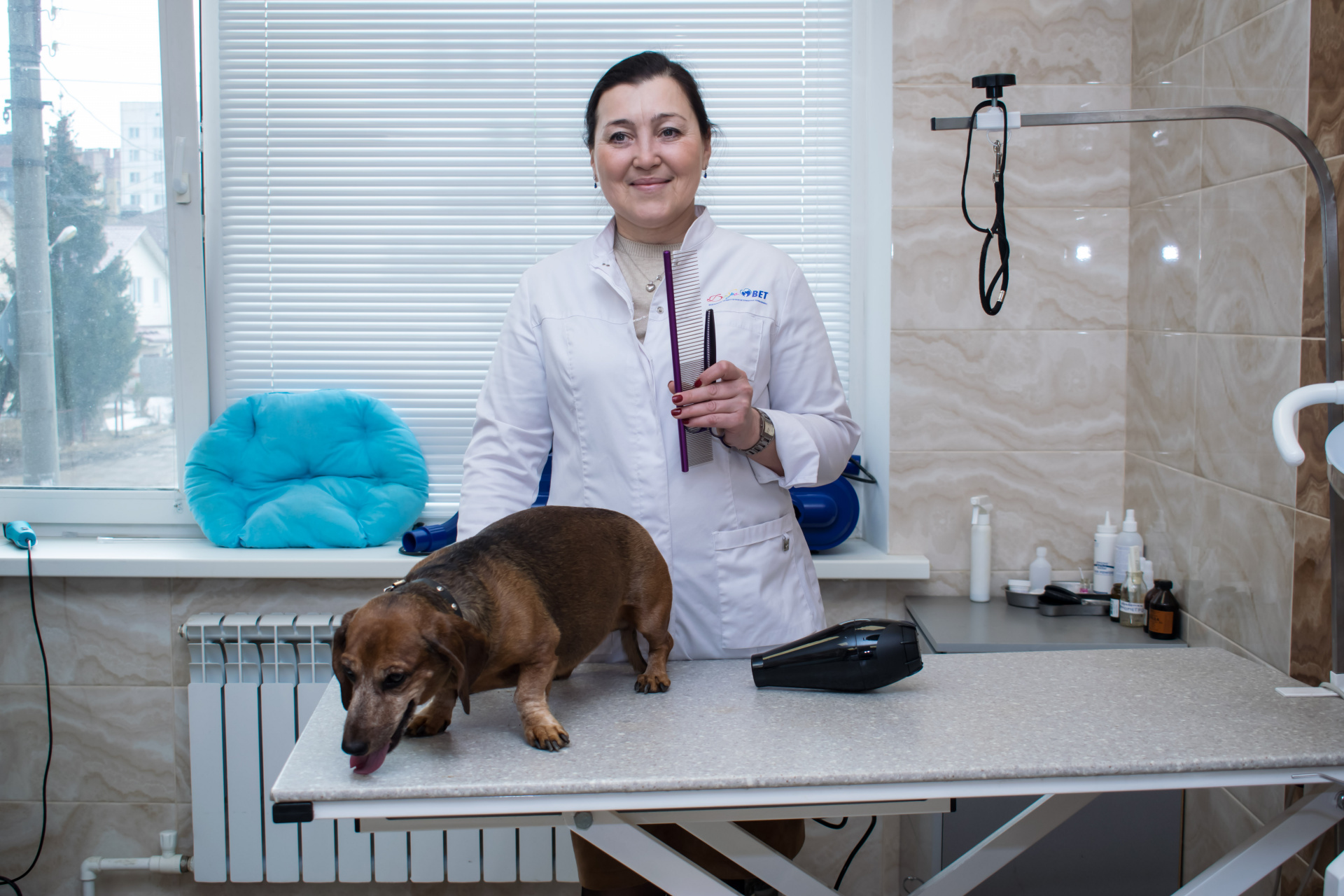 Свыше 700 обращений за ветеринарной помощью зарегистрировано поликлиникой «Добровет» в октябре