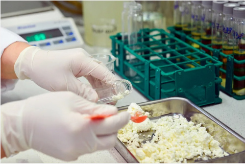Специалисты лаборатории зарегистрировали несоответствия молочных продуктов микробиологическим нормам