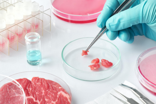 Специалисты лаборатории установили содержание антибиотика в мясе