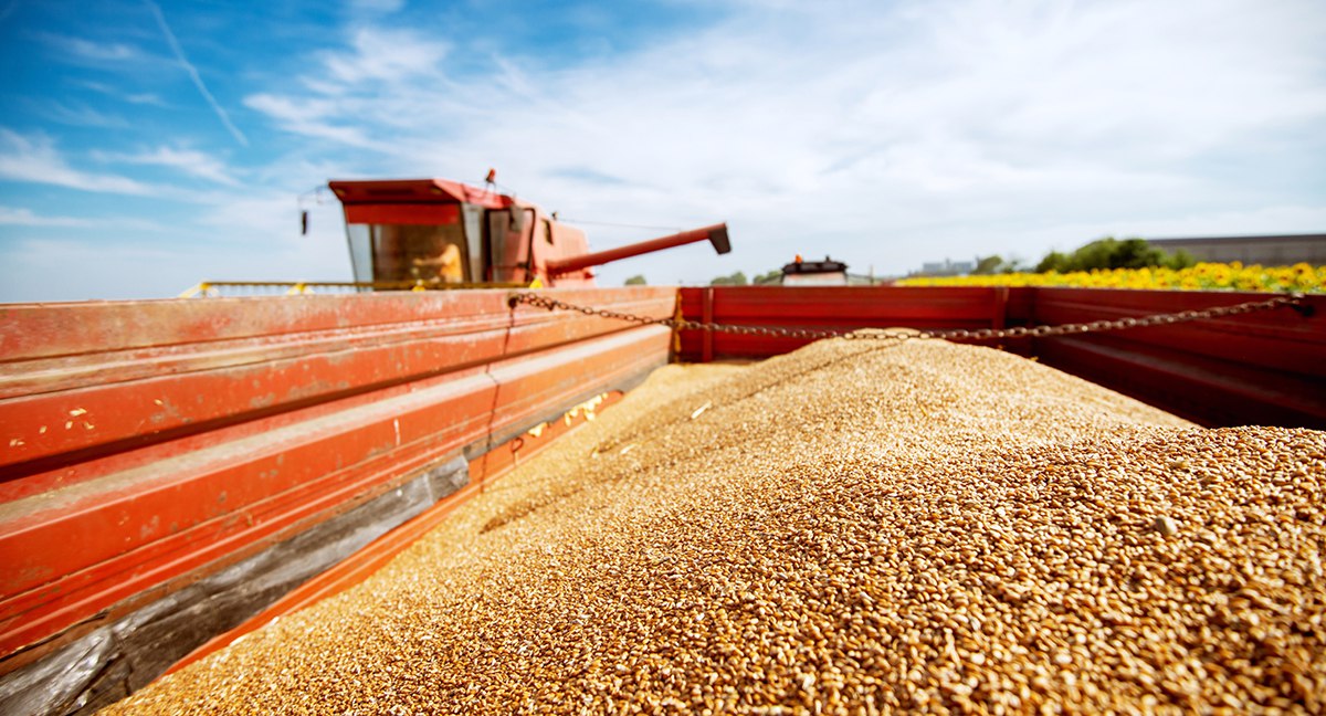 В минувшем сельхозгоду экспорт зерновой продукции превысил 89 млн тонн