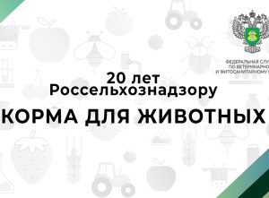 AlphaPet: Премиум корм холистик для кошек и собак российского производства.