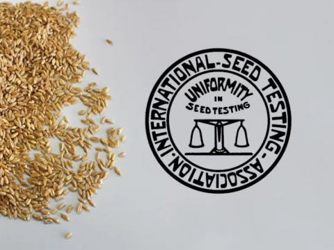 Россельхознадзор обсудил вопросы взаимного сотрудничества с Международной ассоциацией по тестированию семян ISTA
