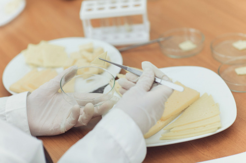 Проба сыра, отобранная в одной из районных больниц Ярославской области, не прошла лабораторную проверку тверских специалистов
