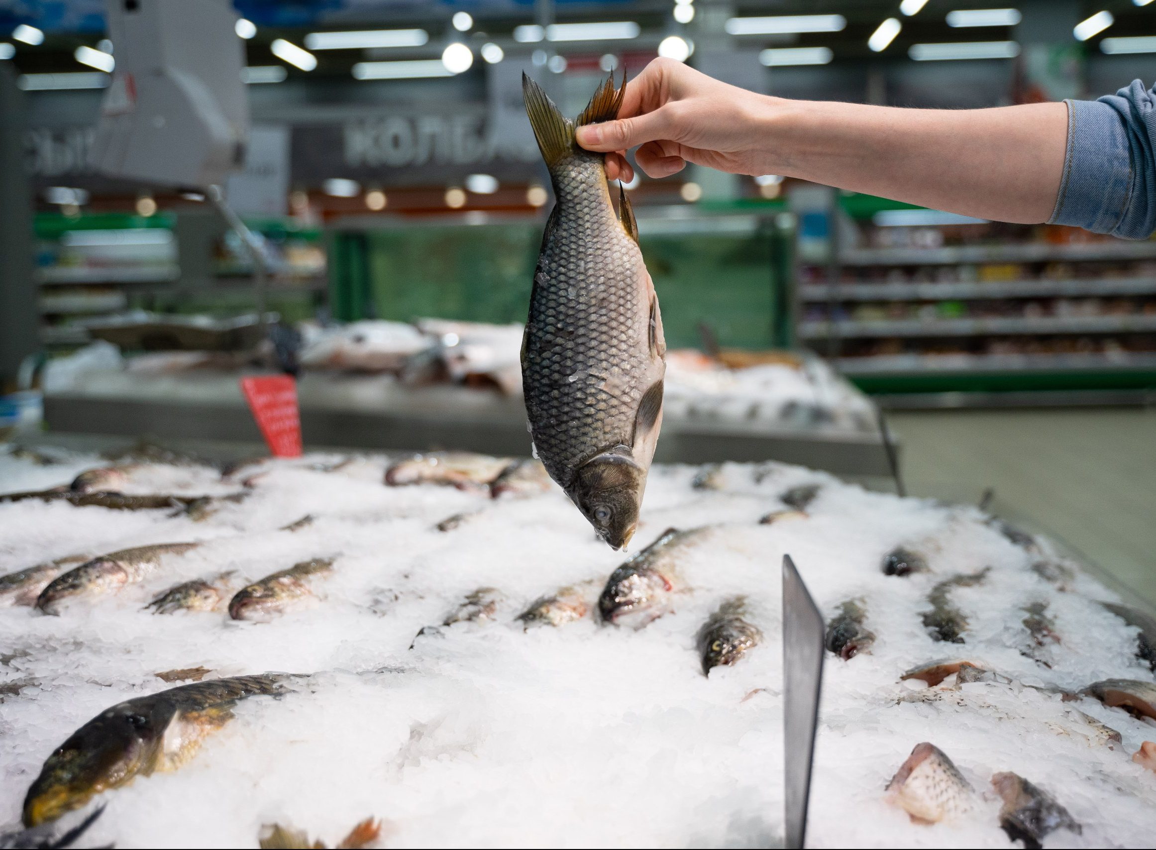 Россельхознадзор выявил факт контрабанды норвежской рыбной продукции через Белоруссию в Россию