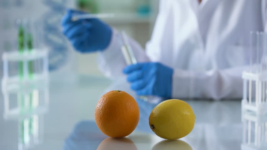В образцах фруктов специалистами лаборатории выявлены карантинные объекты