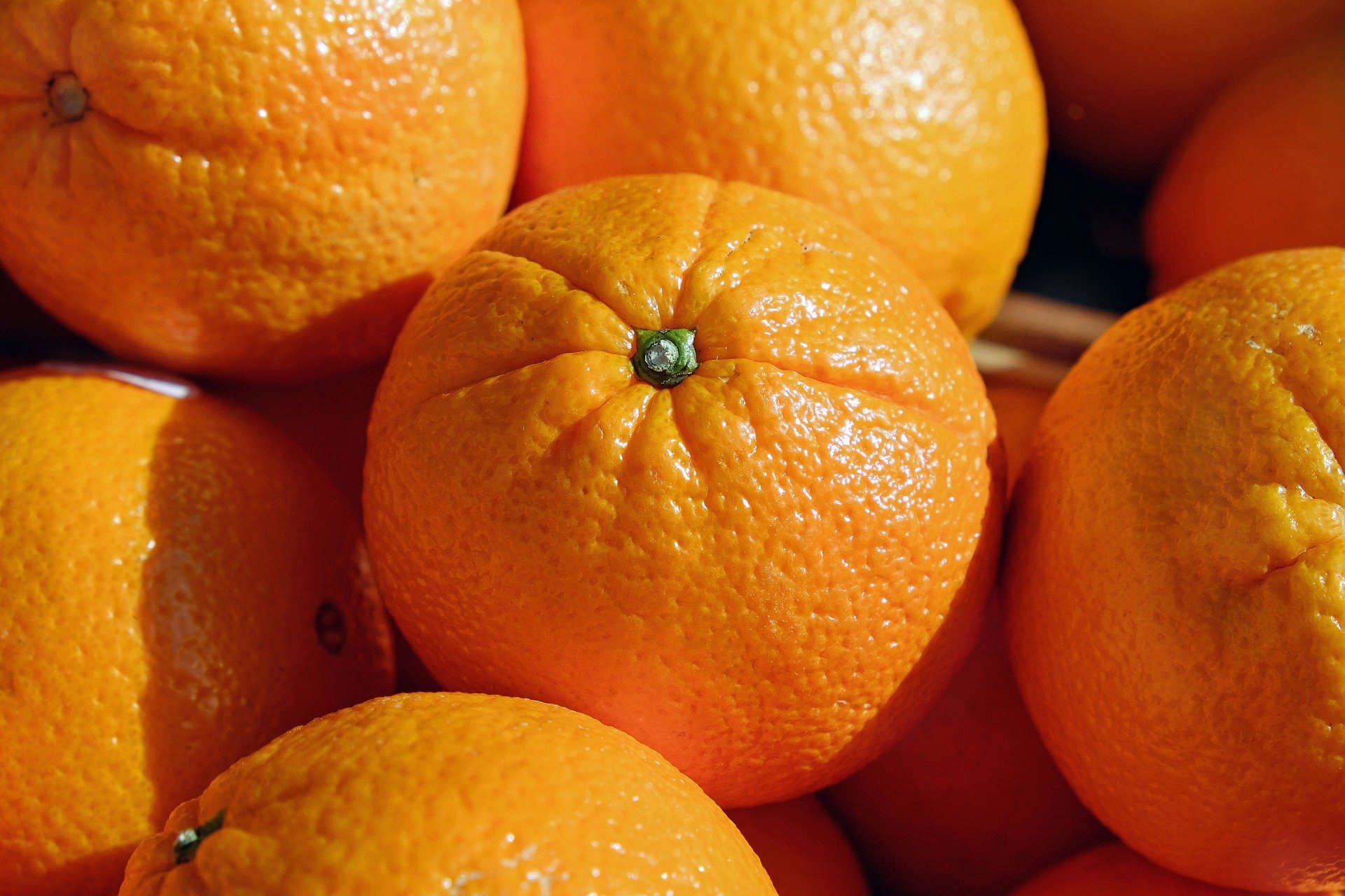 В реализуемых в Ярославле апельсинах выявлен карантинный объект