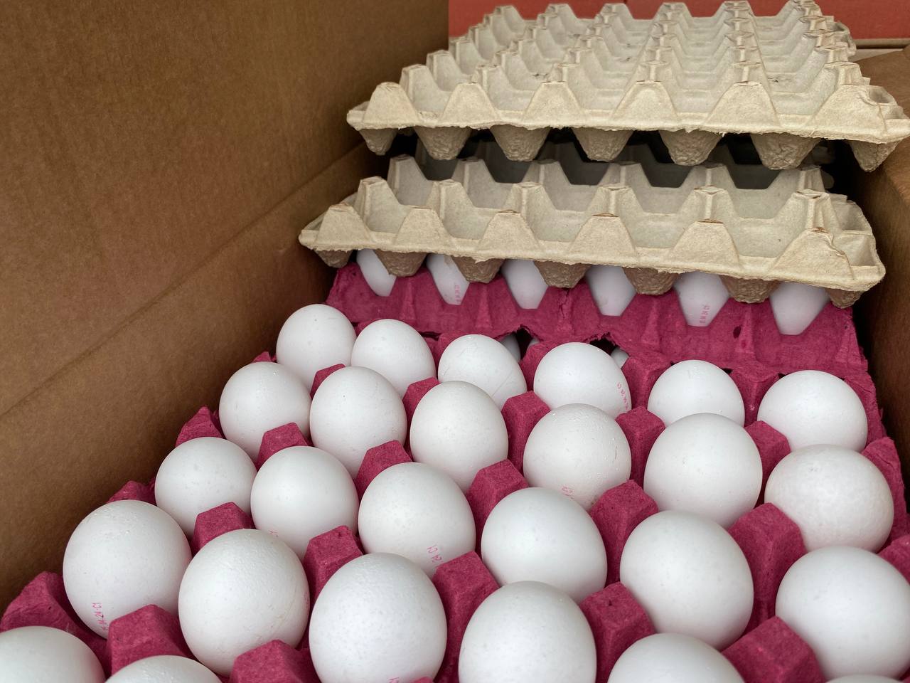 Россельхознадзор проконтролировал очередные поставки импортного пищевого яйца