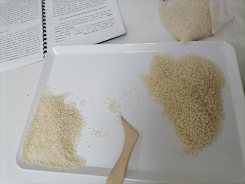 Специалисты Вологодского отдела подтвердили безопасность и качество рисовой крупы, предназначенной для закладки в государственный резерв