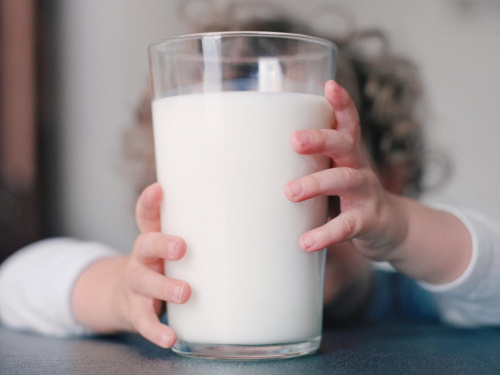 Питьевое молоко в одном из детских садов Верхневолжья оказалось фальсификатом