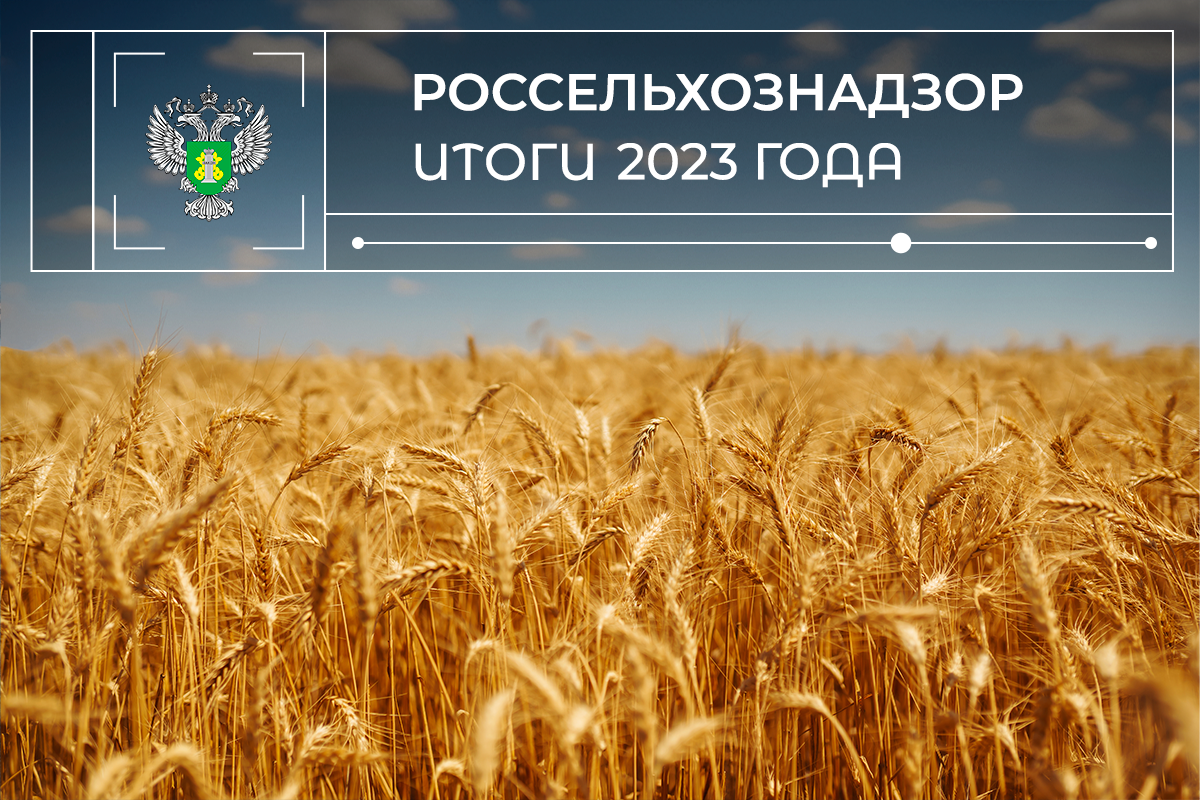 Итоги 2023: Экспорт зерна, государственный мониторинг качества, борьба с  недостоверным декларированием