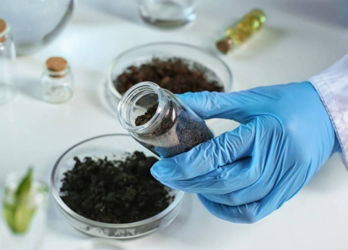 В пробах почвы специалистами Тверской лаборатории зарегистрированы превышения норм химико-токсикологических показателей