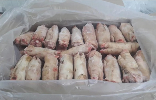 Специалисты лаборатории подтвердили безопасность и качество партий свиных субпродуктов для экспорта во Вьетнам