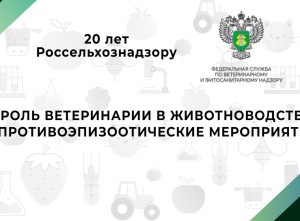 Видео: 20 лет Россельхознадзору — Роль ветеринарии в животноводстве. Противоэпизоотические мероприятия