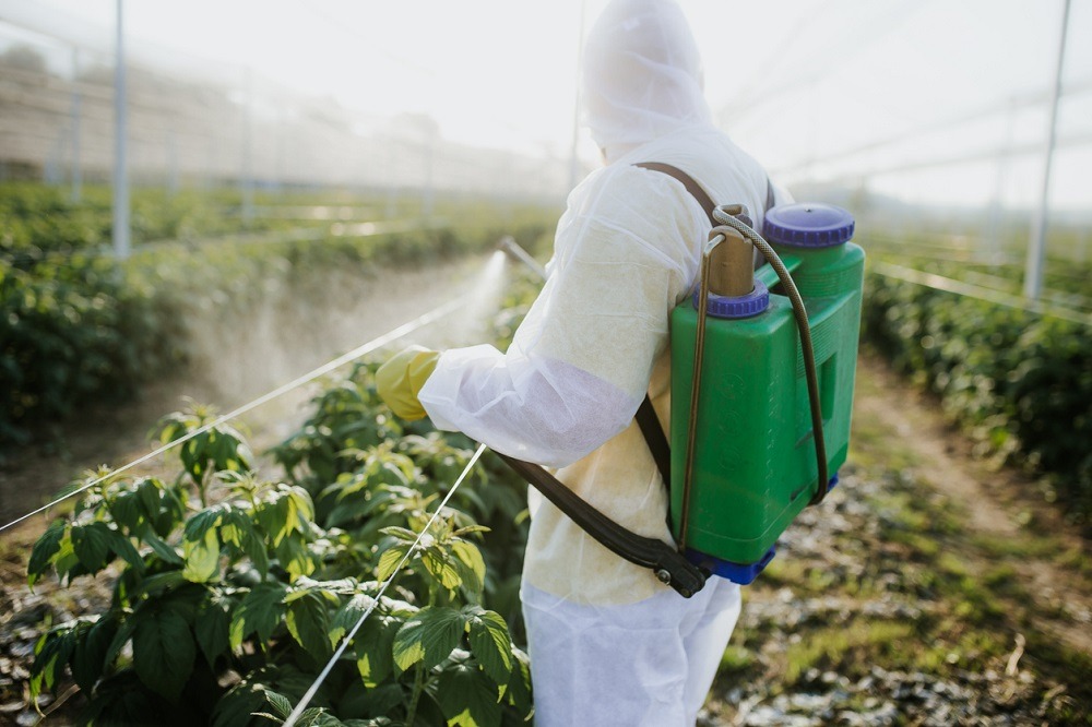Учебный центр проведет обучение в области безопасного обращения с пестицидами и агрохимикатами