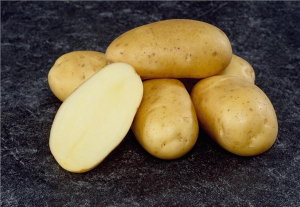 Специалисты Костромского отдела проверили семенной картофель, предназначенный для вывоза в Казахстан