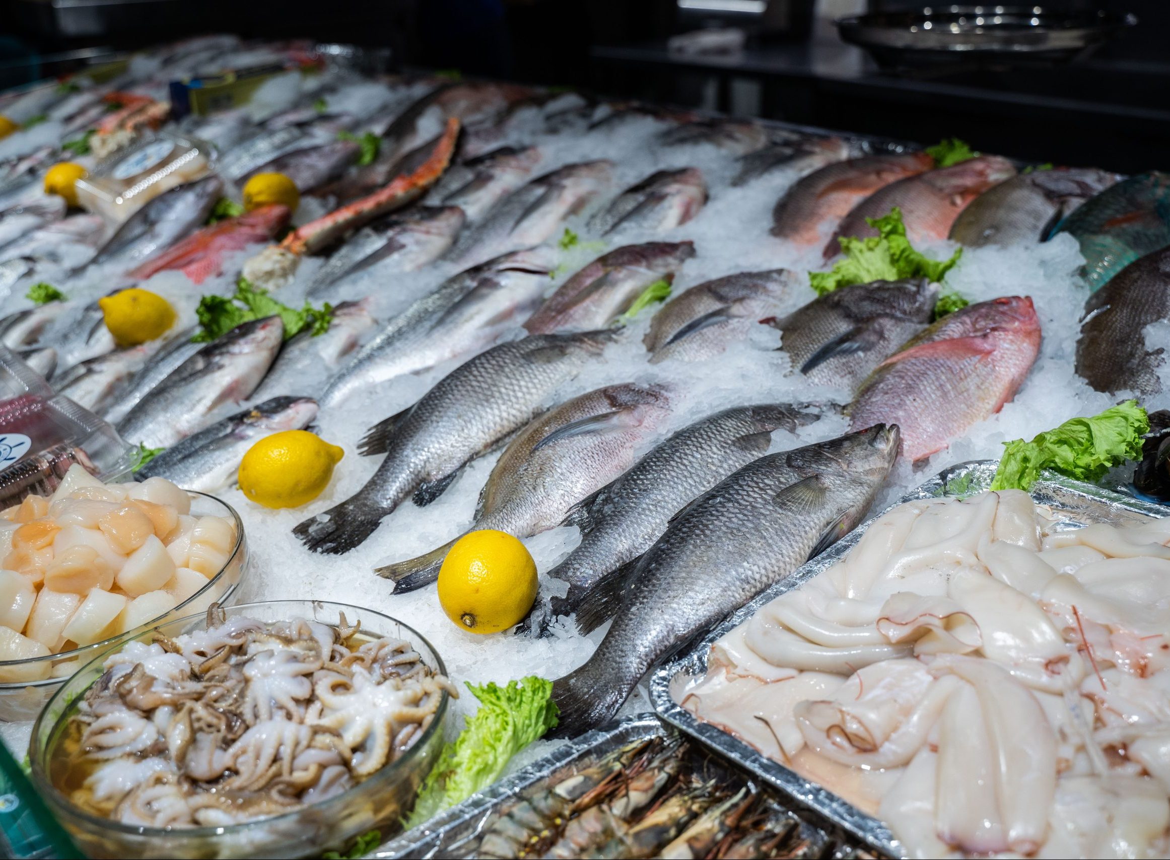 Россельхознадзор и компетентное ведомство Эквадора обсудили взаимный доступ на рынки двух стран рыбной продукции