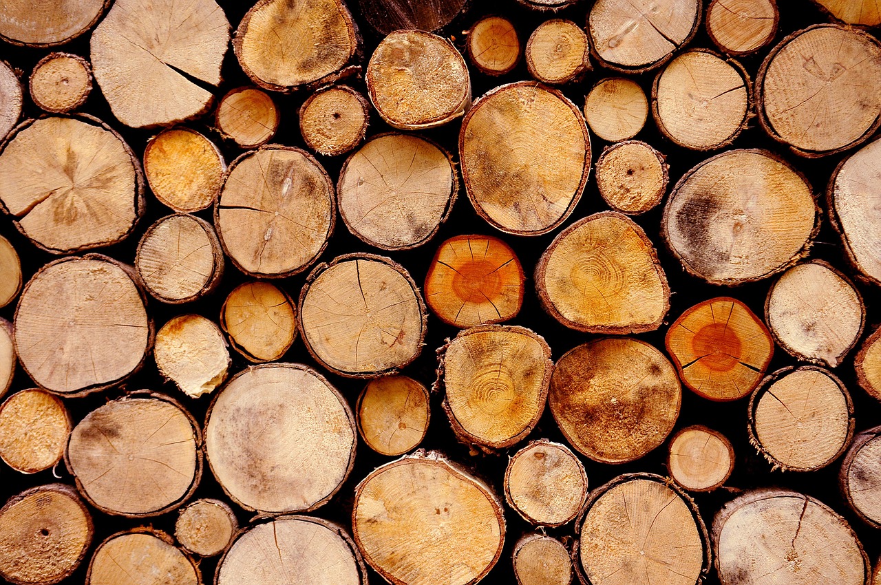 ФГБУ «Тверская МВЛ» осуществляет работы по измерению влажности древесины 