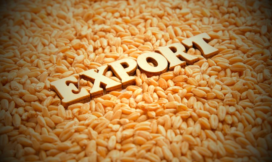 Свыше 37 тысяч исследований экспортируемой продукции проведено лабораторией с начала года