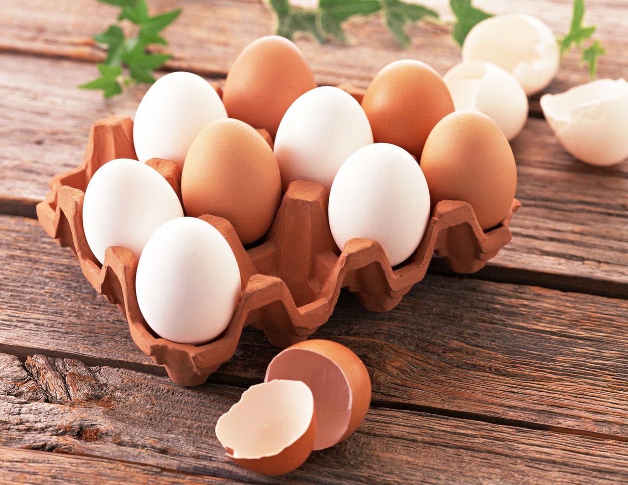 Назначение и проведение ветеринарно-санитарной экспертизы яиц сельскохозяйственных птиц и яйцепродукции с 1 марта осуществляются по новым правилам