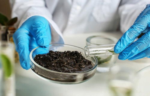 В прошедшем месяце Костромским отделом карантина растений в рамках государственного задания исследовано свыше 300 образцов подкарантинной продукции