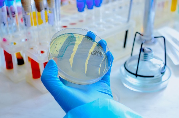 Более 900 микробиологических исследований проведено лабораторией с начала текущего месяца