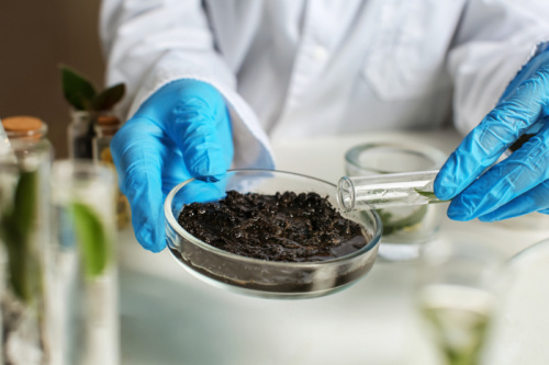 Специалистами лаборатории выявлены превышения уровня содержания тяжелых металлов почве