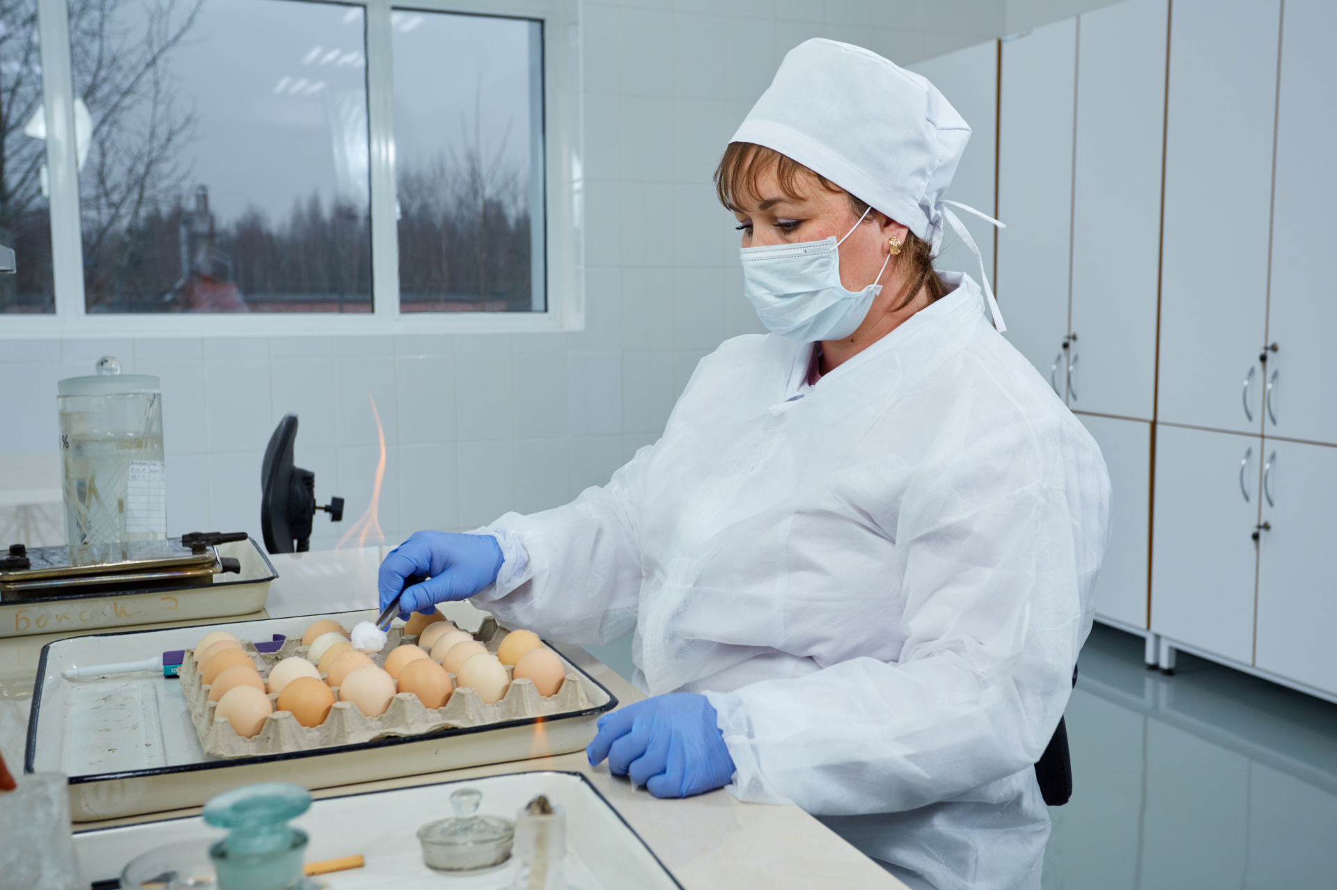 Свыше 7300 исследований провели специалисты лаборатории в рамках реализации государственного задания по обеспечению безопасности и качества пищевой продукции 