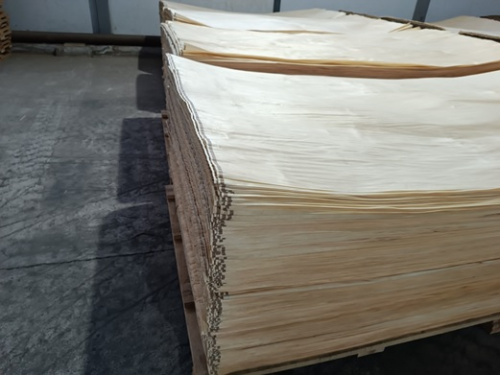 Специалисты Вологодского отдела с начала года провели порядка 100 исследований образцов от партий изделий из древесины, подготовленных для экспорта 